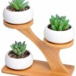 Tree like wooden plant stand